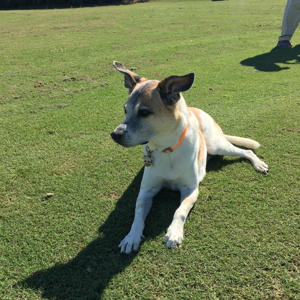 Meet your Posher, Corey